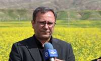 مبارزه شیمیایی با عوامل خسارتزای گیاهی در سطح ۴ هزار و ۶۰۰ هکتار مزارع کلزای لرستان