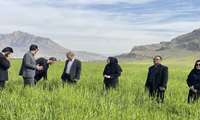 گذر از مدیریت سنتی مزارع به مدیریت اکوسیستمی در لرستان راهبردی برای کشاورزی پایدار