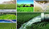 تدوین و اجرای ۱۲ طرح پیشران کشاورزی در استان لرستان