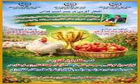 کسب مقام اول کشور در تولید مرغ گوشتی و سیب درختی توسط تولیدکنندگان نمونه استان لرستان