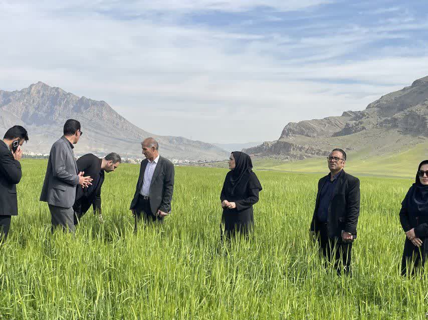 گذر از مدیریت سنتی مزارع به مدیریت اکوسیستمی در لرستان راهبردی برای کشاورزی پایدار