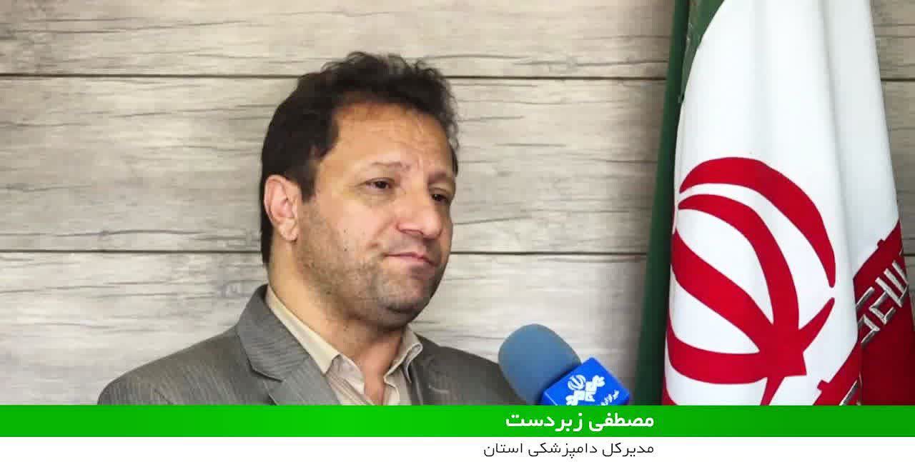 کشتار روزانه بالغ بر 2هزار رأس دام در لرستان
