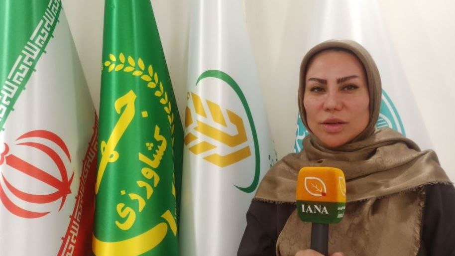 معرفی زنان توانمند روستایی باید به تقویت نقش اقتصادی آن‌ها منجر شود