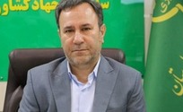 نامدار صیادی